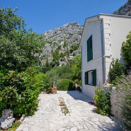 Luxurious Holiday Home In Makarska With Jacuzzi Kültér fotó