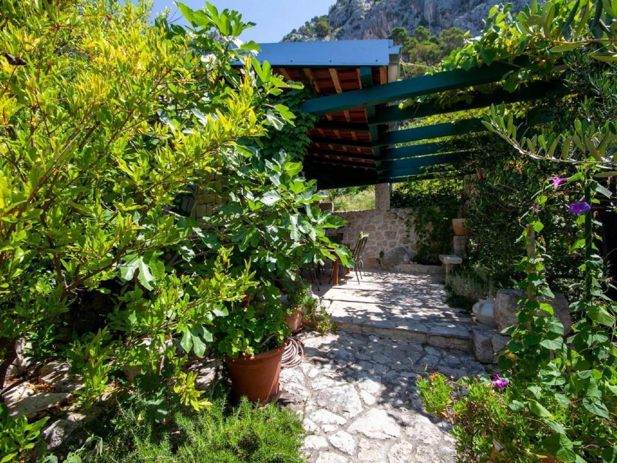 Luxurious Holiday Home In Makarska With Jacuzzi Kültér fotó