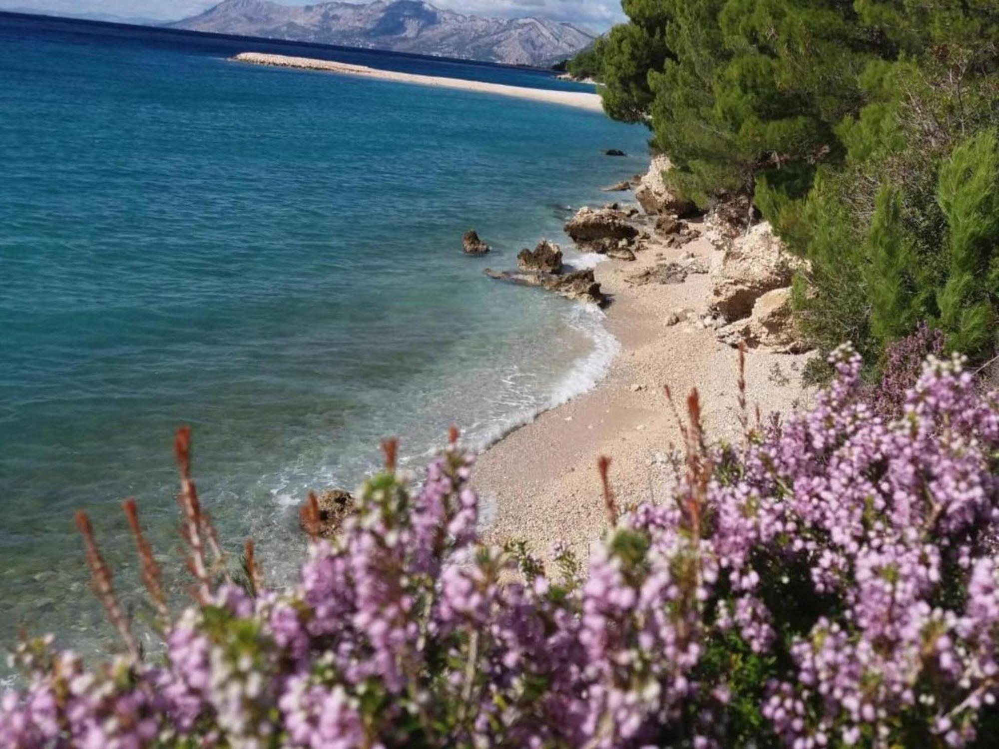Luxurious Holiday Home In Makarska With Jacuzzi Kültér fotó